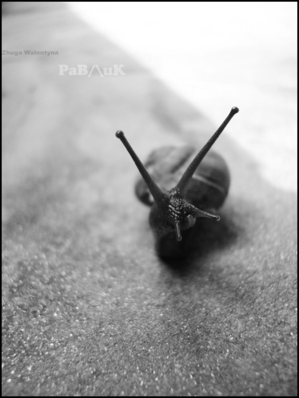 Фотовиставка Валентини Жуги